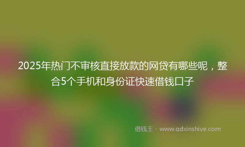 2025年热门不审核直接放款的网贷有哪些呢，整合5个手机和身份证快速借钱口子