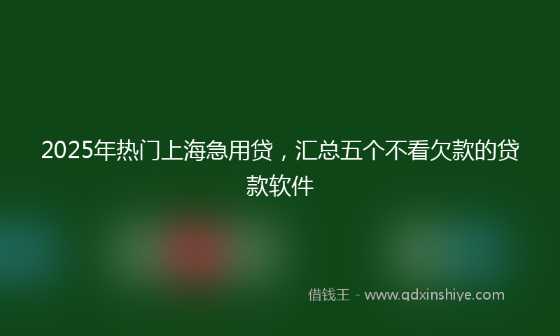 2025年热门上海急用贷，汇总五个不看欠款的贷款软件