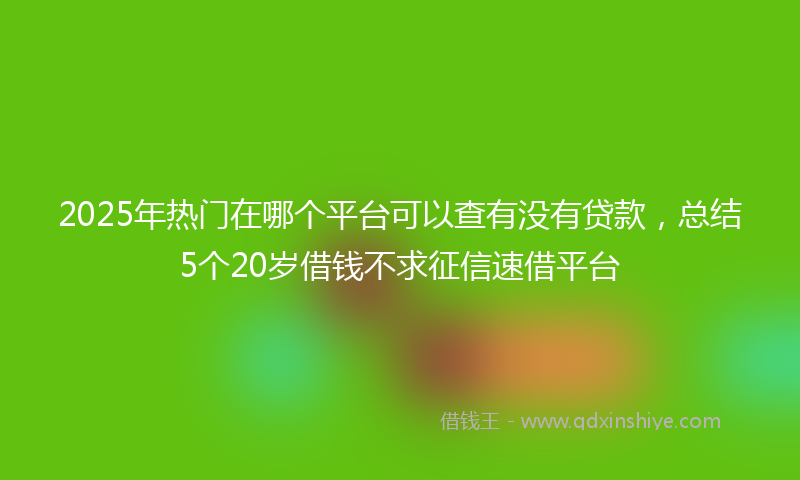 2025年热门在哪个平台可以查有没有贷款，总结5个20岁借钱不求征信速借平台