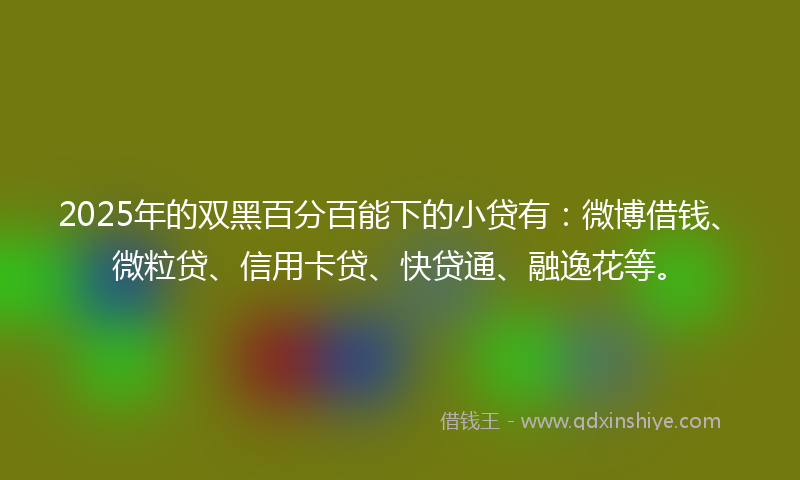 2025年的双黑百分百能下的小贷有：微博借钱、微粒贷、信用卡贷、快贷通、融逸花等。