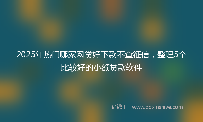 2025年热门哪家网贷好下款不查征信，整理5个比较好的小额贷款软件