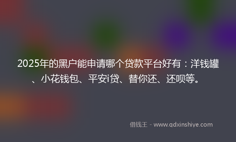 2025年的黑户能申请哪个贷款平台好有：洋钱罐、小花钱包、平安i贷、替你还、还呗等。
