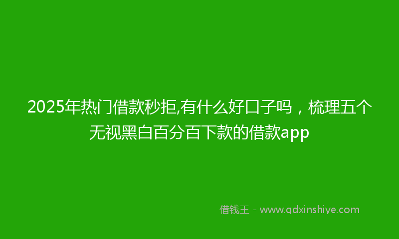 2025年热门借款秒拒,有什么好口子吗，梳理五个无视黑白百分百下款的借款app