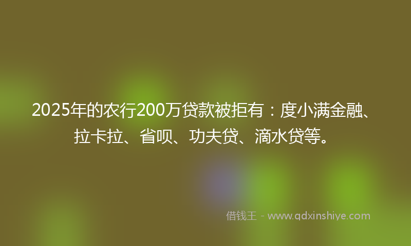 2025年的农行200万贷款被拒有：度小满金融、拉卡拉、省呗、功夫贷、滴水贷等。