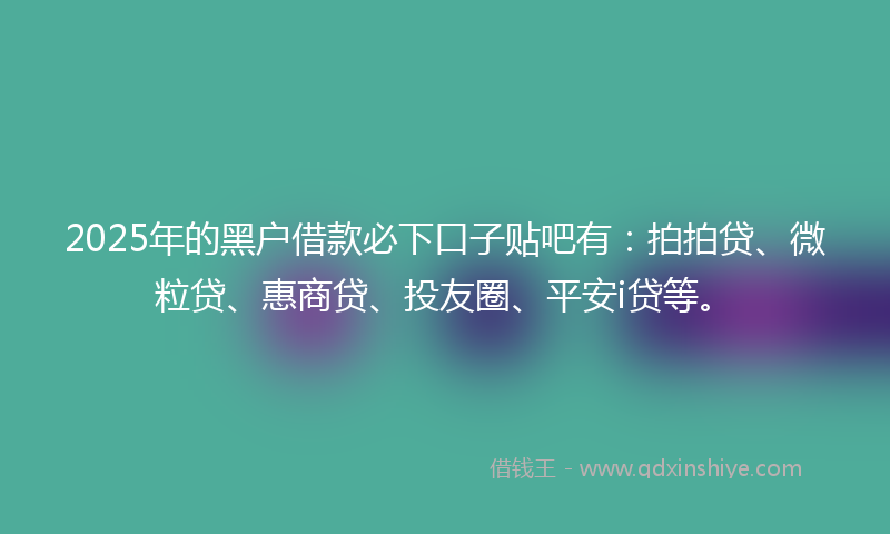 2025年的黑户借款必下口子贴吧有：拍拍贷、微粒贷、惠商贷、投友圈、平安i贷等。