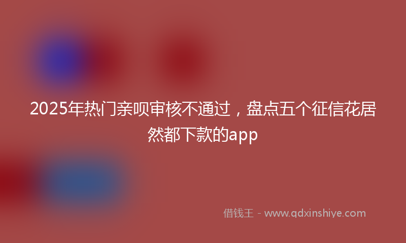 2025年热门亲呗审核不通过，盘点五个征信花居然都下款的app