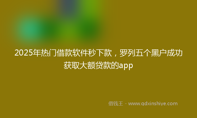 2025年热门借款软件秒下款，罗列五个黑户成功获取大额贷款的app