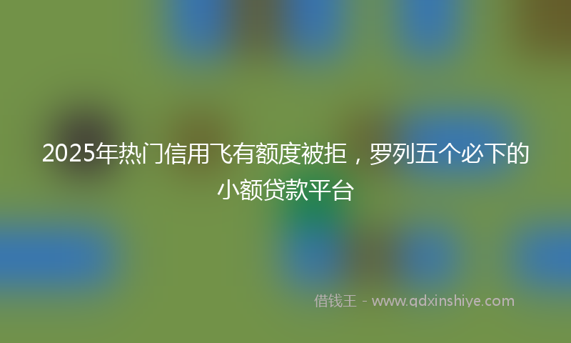 2025年热门信用飞有额度被拒，罗列五个必下的小额贷款平台
