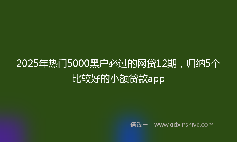 2025年热门5000黑户必过的网贷12期，归纳5个比较好的小额贷款app