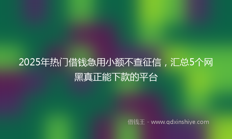 2025年热门借钱急用小额不查征信，汇总5个网黑真正能下款的平台