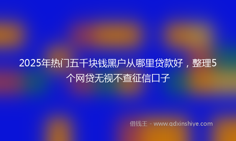2025年热门五千块钱黑户从哪里贷款好，整理5个网贷无视不查征信口子