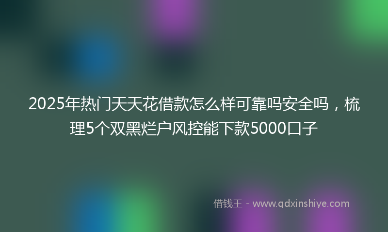 2025年热门天天花借款怎么样可靠吗安全吗，梳理5个双黑烂户风控能下款5000口子