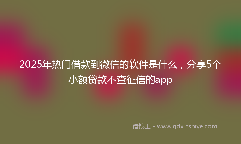 2025年热门借款到微信的软件是什么，分享5个小额贷款不查征信的app