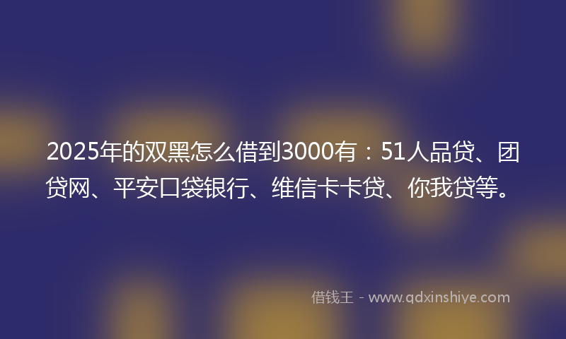 2025年的双黑怎么借到3000有：51人品贷、团贷网、平安口袋银行、维信卡卡贷、你我贷等。