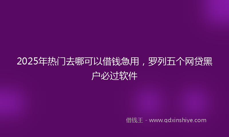 2025年热门去哪可以借钱急用，罗列五个网贷黑户必过软件