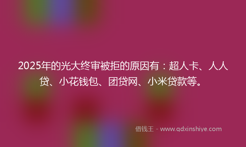 2025年的光大终审被拒的原因有：超人卡、人人贷、小花钱包、团贷网、小米贷款等。