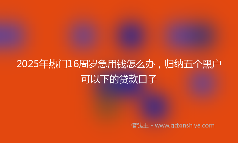 2025年热门16周岁急用钱怎么办，归纳五个黑户可以下的贷款口子