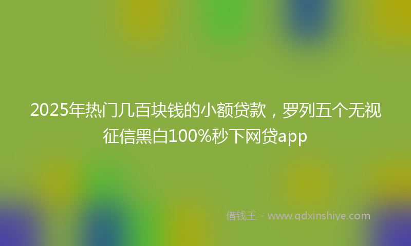 2025年热门几百块钱的小额贷款，罗列五个无视征信黑白100%秒下网贷app