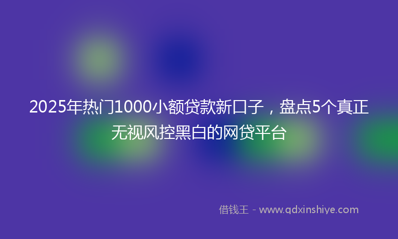 2025年热门1000小额贷款新口子，盘点5个真正无视风控黑白的网贷平台