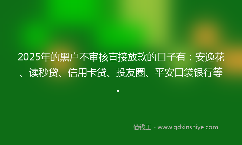 2025年的黑户不审核直接放款的口子有：安逸花、读秒贷、信用卡贷、投友圈、平安口袋银行等。