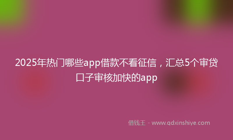 2025年热门哪些app借款不看征信，汇总5个审贷口子审核加快的app