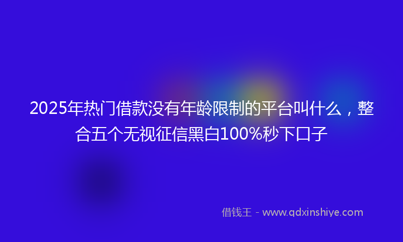 2025年热门借款没有年龄限制的平台叫什么，整合五个无视征信黑白100%秒下口子