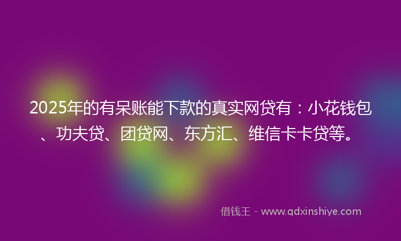2025年的有呆账能下款的真实网贷有：小花钱包、功夫贷、团贷网、东方汇、维信卡卡贷等。
