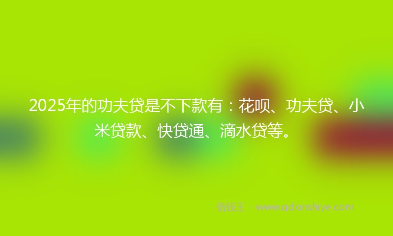 2025年的功夫贷是不下款有：花呗、功夫贷、小米贷款、快贷通、滴水贷等。