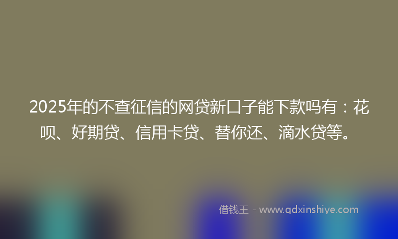 2025年的不查征信的网贷新口子能下款吗有：花呗、好期贷、信用卡贷、替你还、滴水贷等。
