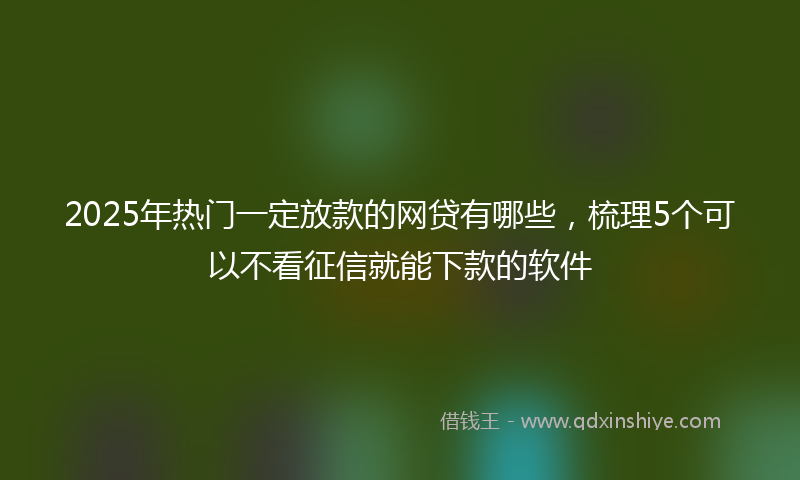 2025年热门一定放款的网贷有哪些，梳理5个可以不看征信就能下款的软件