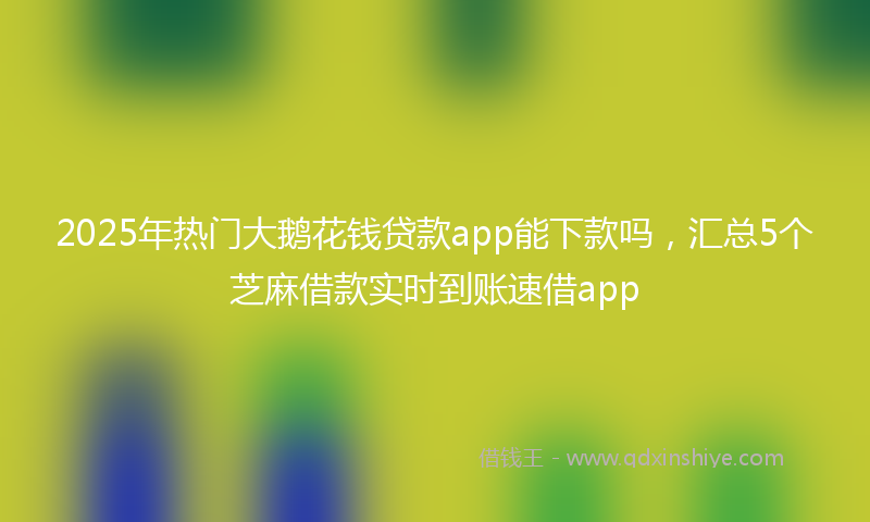 2025年热门大鹅花钱贷款app能下款吗，汇总5个芝麻借款实时到账速借app