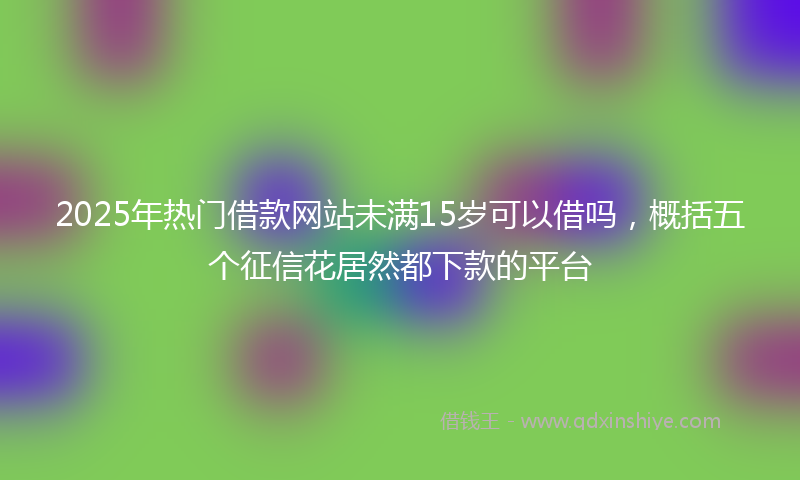 2025年热门借款网站未满15岁可以借吗，概括五个征信花居然都下款的平台