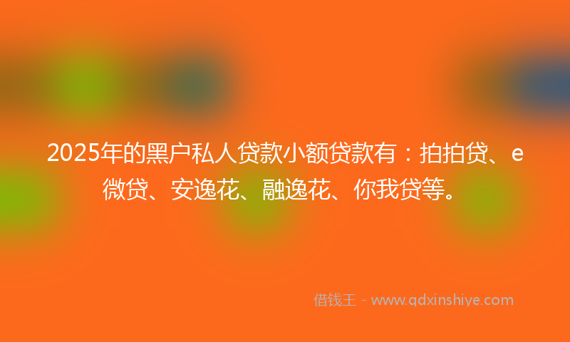 2025年的黑户私人贷款小额贷款有：拍拍贷、e微贷、安逸花、融逸花、你我贷等。