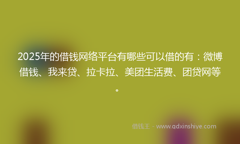 2025年的借钱网络平台有哪些可以借的有：微博借钱、我来贷、拉卡拉、美团生活费、团贷网等。