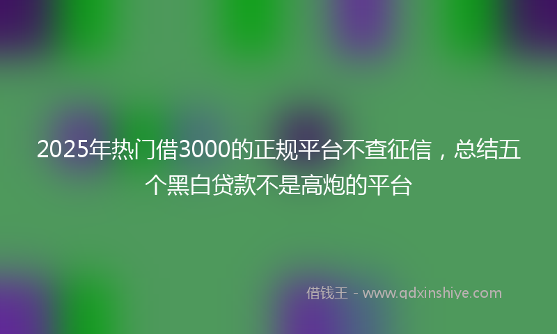 2025年热门借3000的正规平台不查征信，总结五个黑白贷款不是高炮的平台