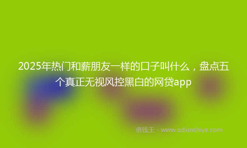2025年热门和薪朋友一样的口子叫什么，盘点五个真正无视风控黑白的网贷app