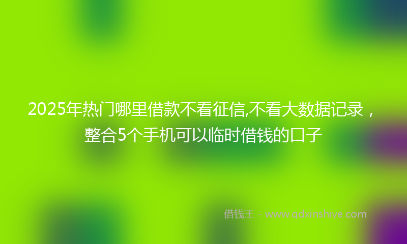 2025年热门哪里借款不看征信,不看大数据记录，整合5个手机可以临时借钱的口子