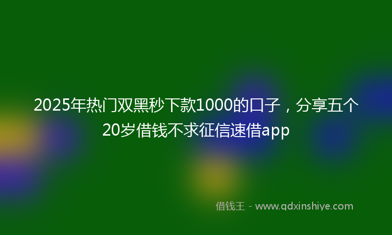 2025年热门双黑秒下款1000的口子，分享五个20岁借钱不求征信速借app