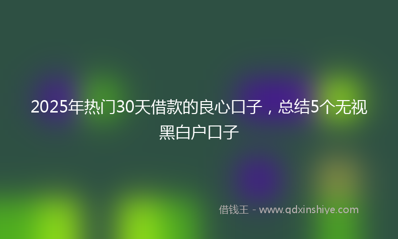 2025年热门30天借款的良心口子，总结5个无视黑白户口子