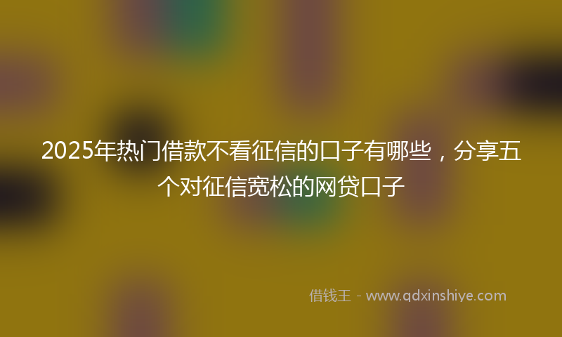 2025年热门借款不看征信的口子有哪些，分享五个对征信宽松的网贷口子