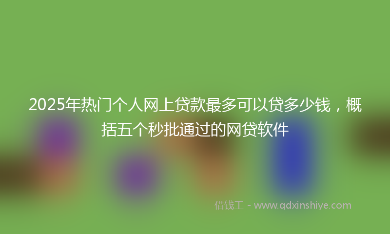 2025年热门个人网上贷款最多可以贷多少钱，概括五个秒批通过的网贷软件