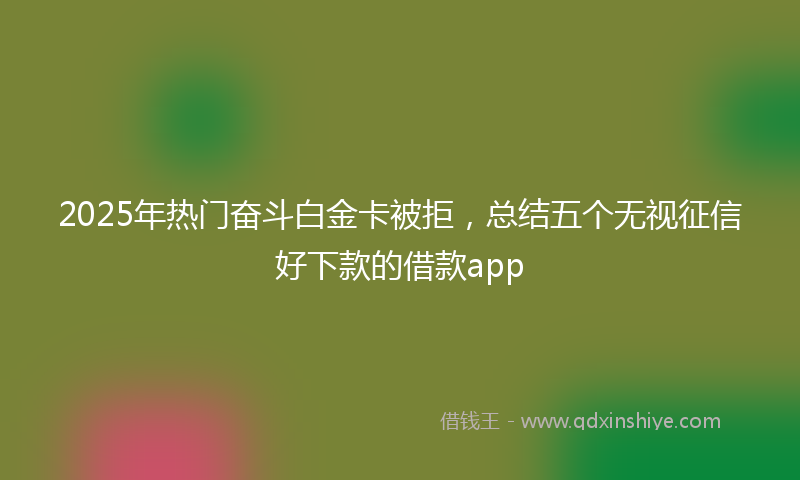 2025年热门奋斗白金卡被拒，总结五个无视征信好下款的借款app
