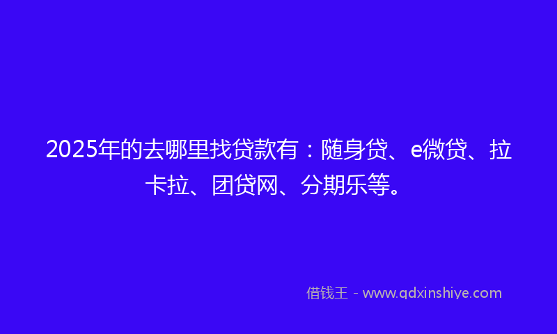 2025年的去哪里找贷款有：随身贷、e微贷、拉卡拉、团贷网、分期乐等。