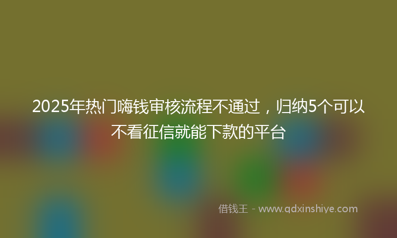 2025年热门嗨钱审核流程不通过，归纳5个可以不看征信就能下款的平台