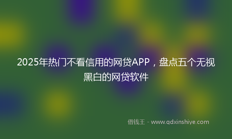 2025年热门不看信用的网贷APP，盘点五个无视黑白的网贷软件