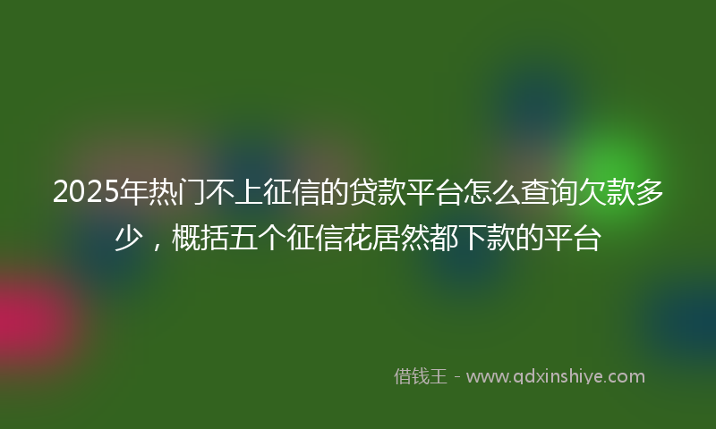 2025年热门不上征信的贷款平台怎么查询欠款多少，概括五个征信花居然都下款的平台