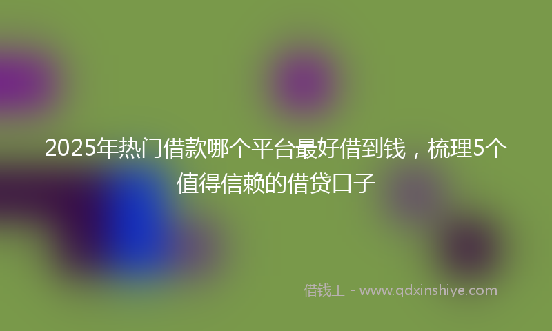 2025年热门借款哪个平台最好借到钱，梳理5个值得信赖的借贷口子