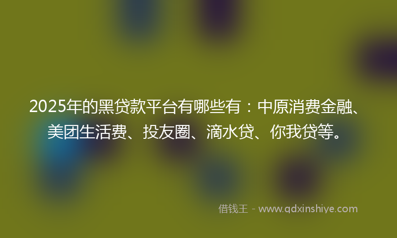 2025年的黑贷款平台有哪些有：中原消费金融、美团生活费、投友圈、滴水贷、你我贷等。