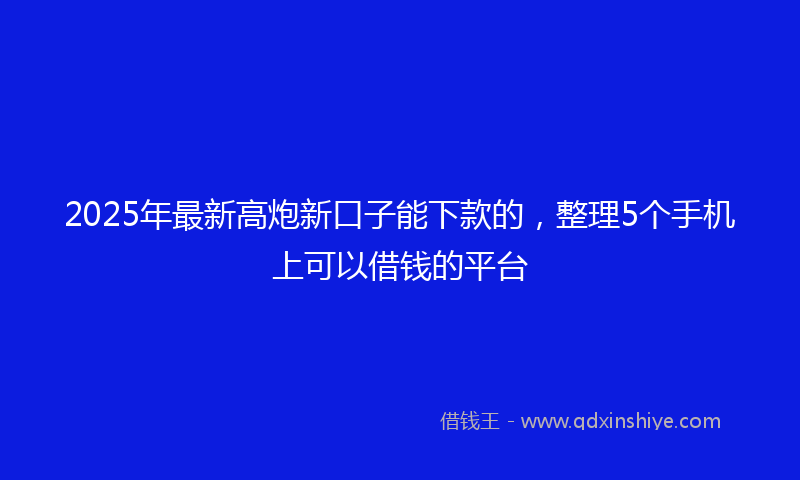 2025年最新高炮新口子能下款的，整理5个手机上可以借钱的平台