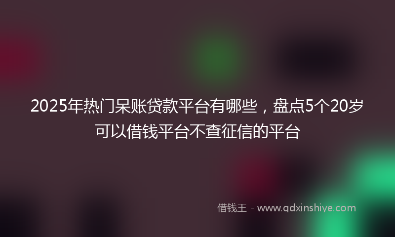 2025年热门呆账贷款平台有哪些，盘点5个20岁可以借钱平台不查征信的平台